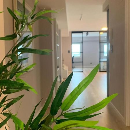 Espectacular Loft Lleno De Luz Y Espacio! سرقسطة المظهر الخارجي الصورة