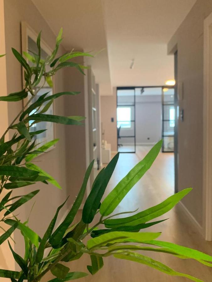 Espectacular Loft Lleno De Luz Y Espacio! سرقسطة المظهر الخارجي الصورة